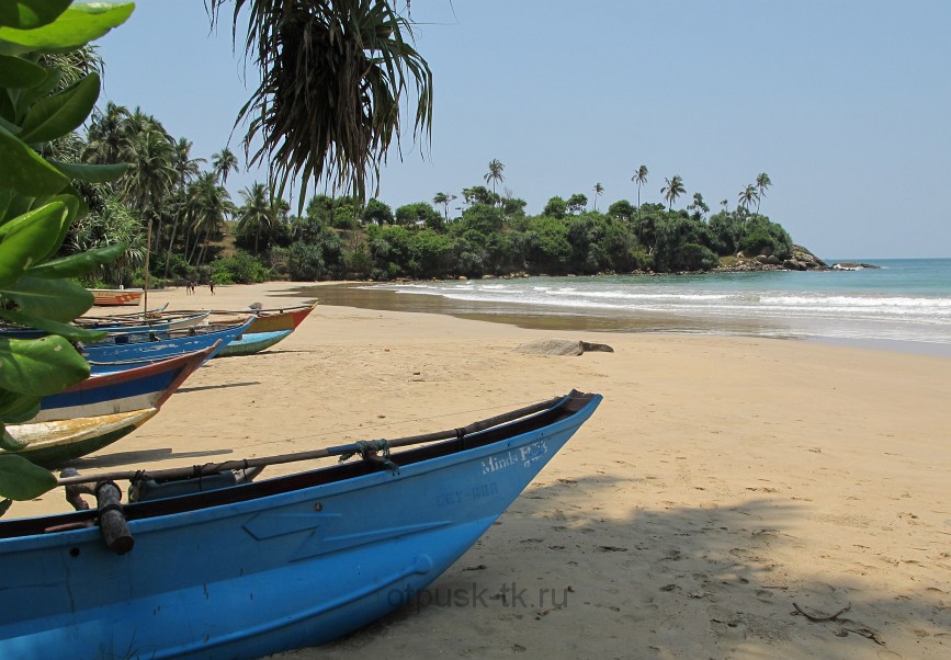 Пляж на Шри Ланке в январе